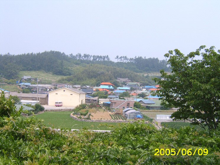 1 220.jpg